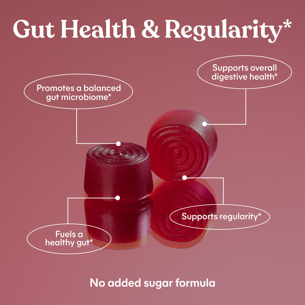Daily Digestive Bundle - Lifestyle Capsule Supplements