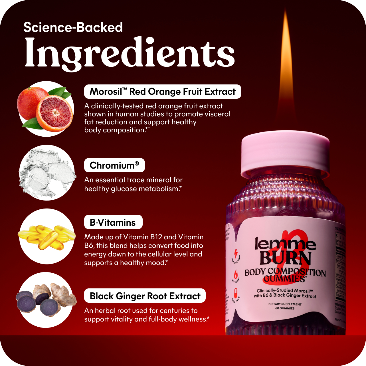 Burn Boost Bundle - Smooth Wellness Pack