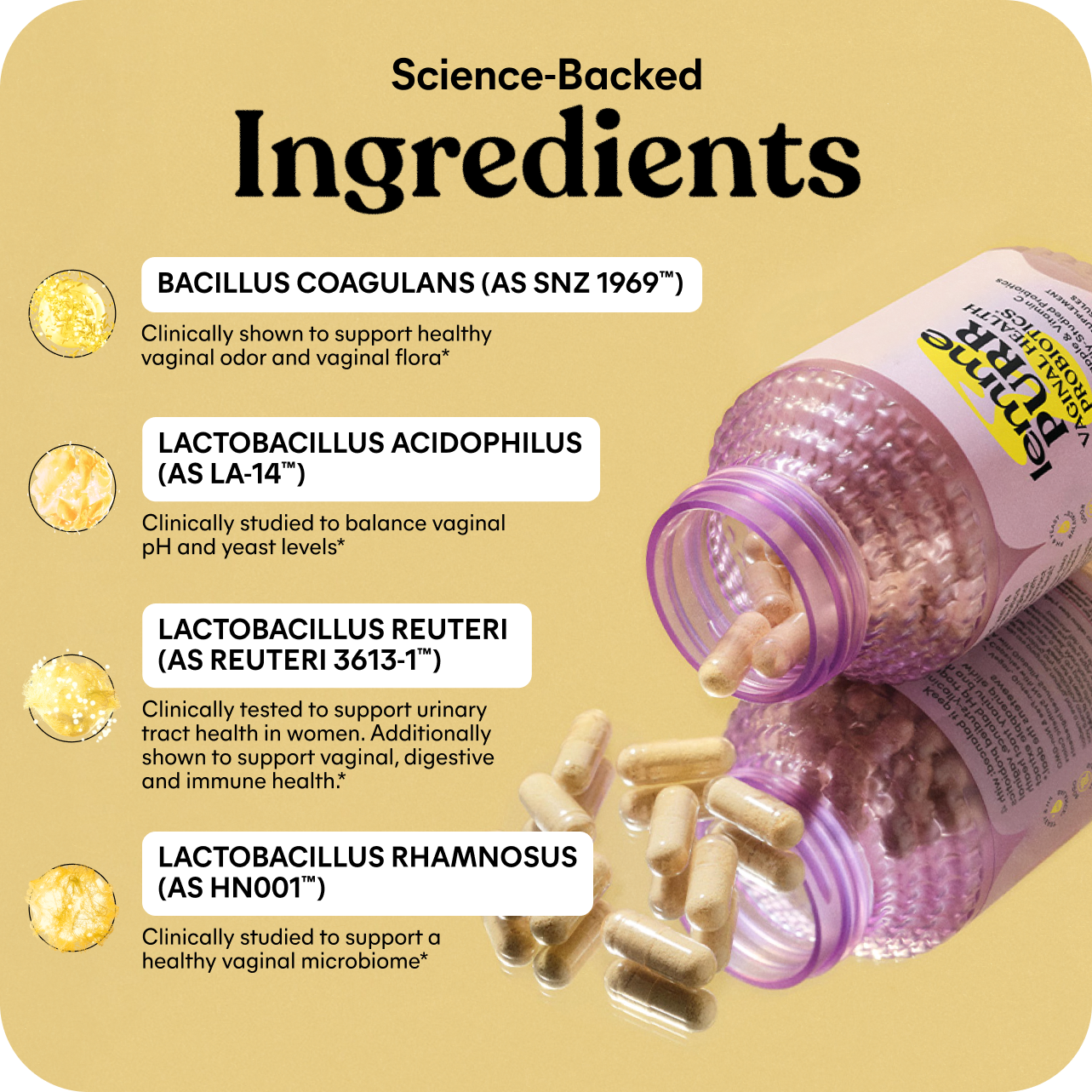 Lemme Purr Capsules - Everyday Wellness Gummies