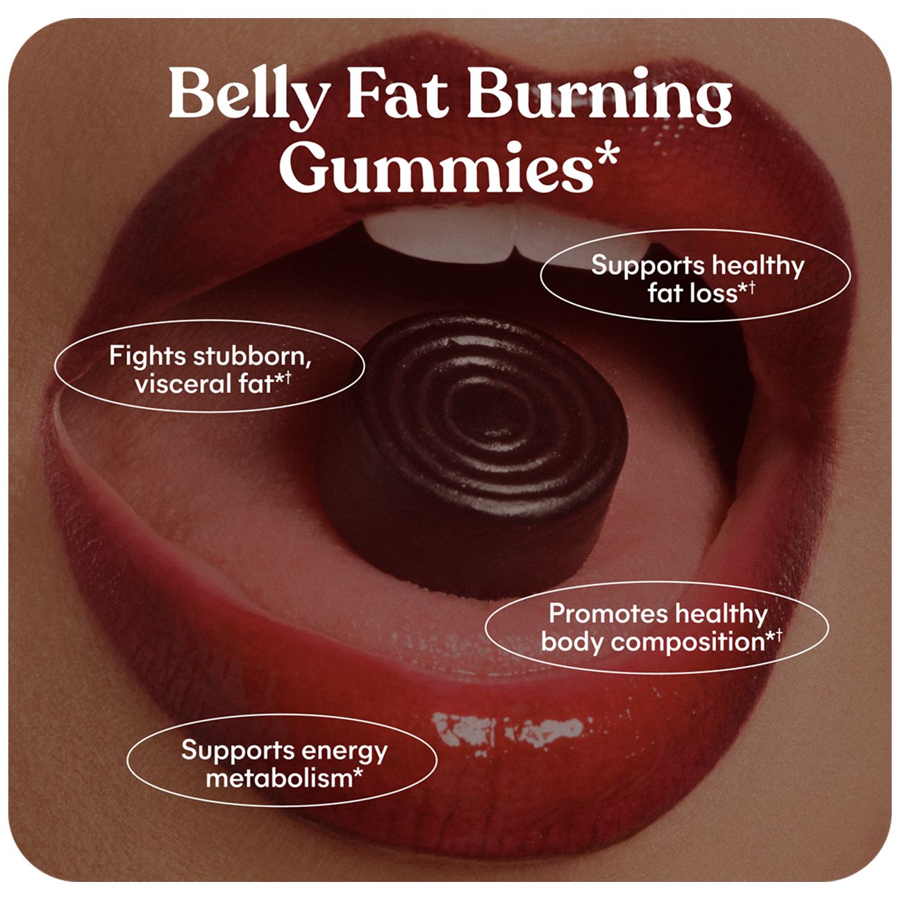All In One Bundle - Pantry Ready Daily Gummies